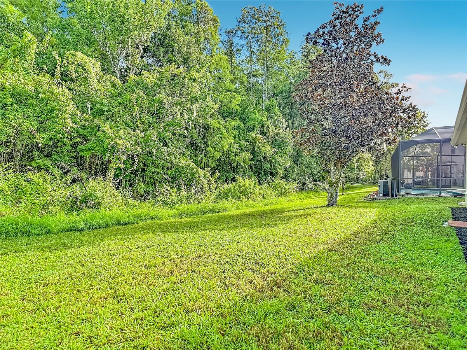 Single Family Residence at 18453 CYPRESS BAY PKWY, LAND O LAKES, photo 48 of 54