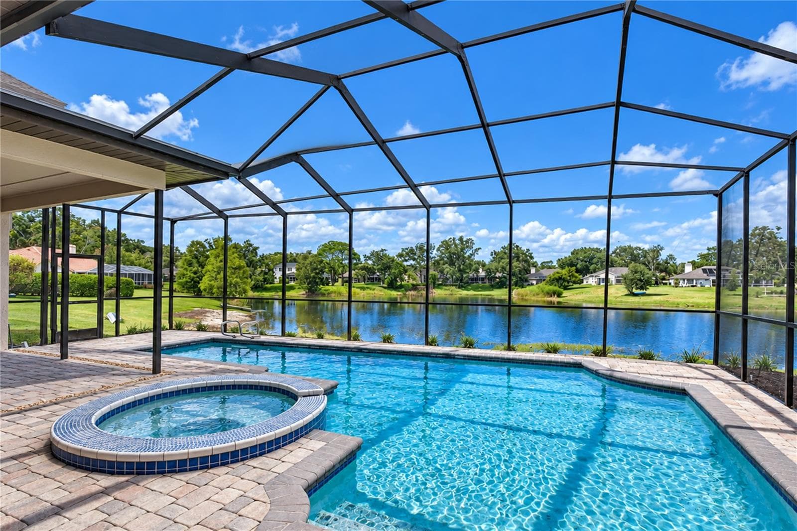 Pool/Spa - Pond View - 806 SANDRINGHAM LN, LUTZ