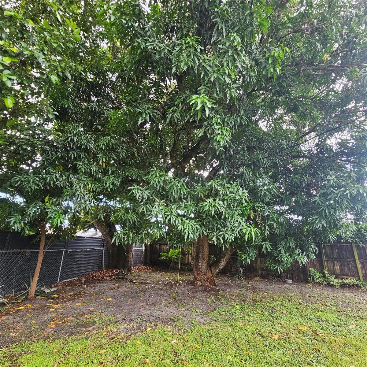 Single Family Residence at 1051 SW 72ND CT, MIAMI, photo 26 of 28
