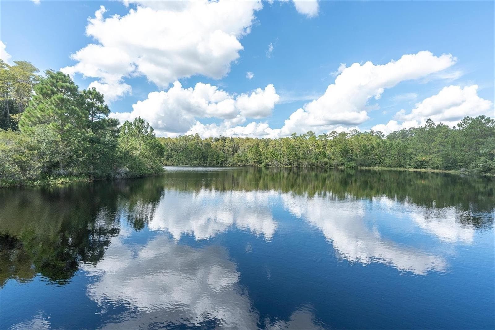 Single Family Residence at 19722 LONESOME PINE DR, LAND O LAKES, photo 62 of 63
