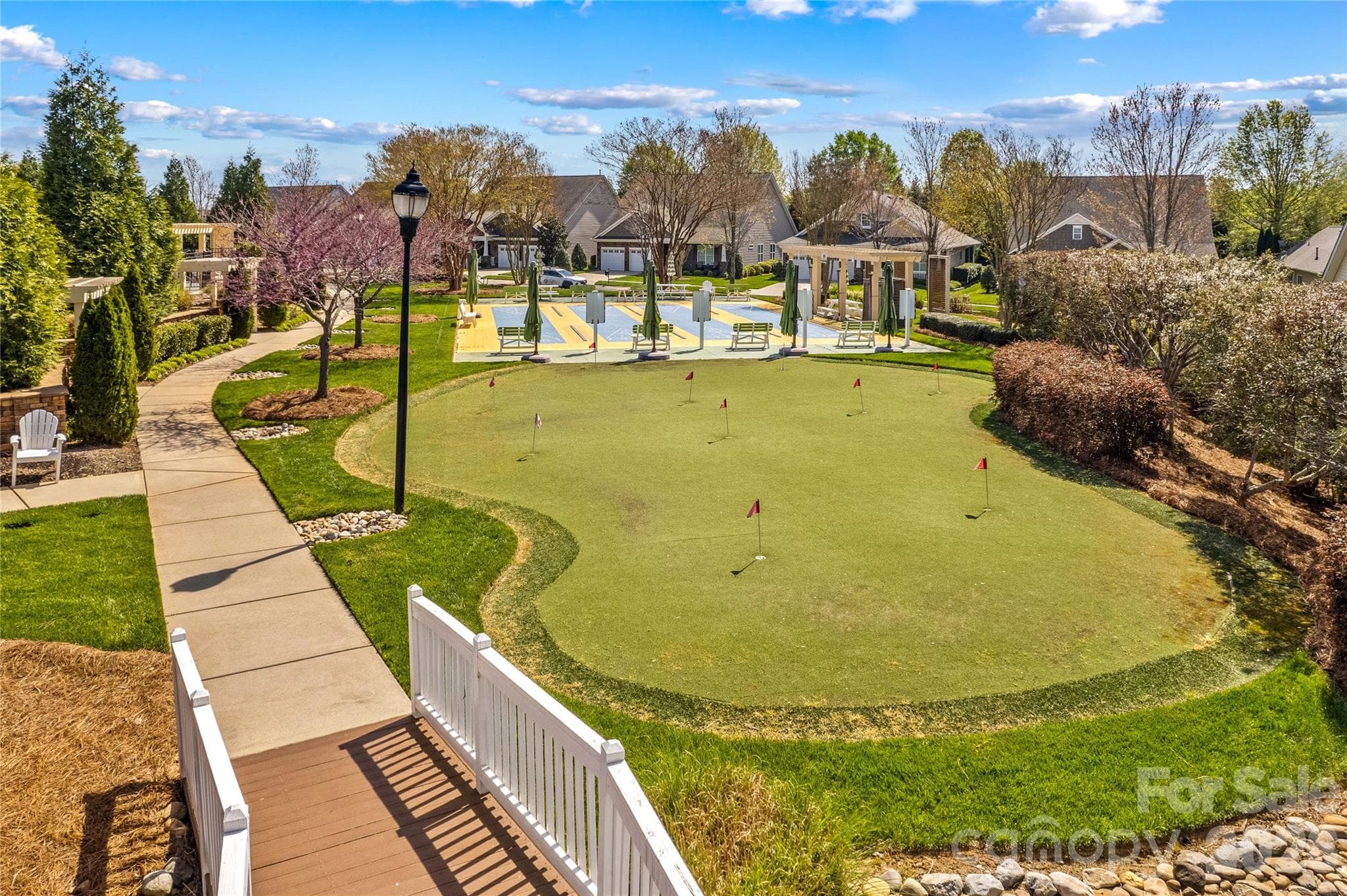 Putting green and shuffleboard courts - 18114 Ebenezer Drive, Cornelius