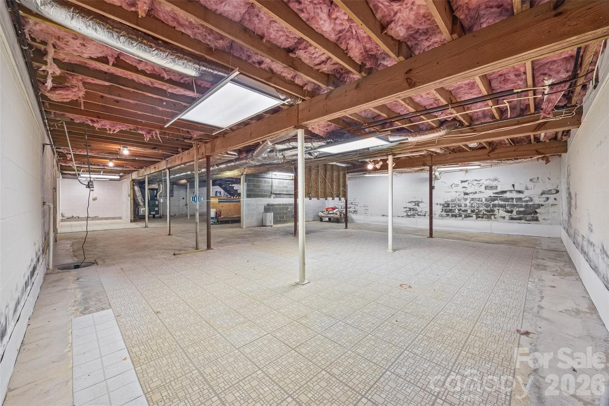 Unfinished Basement - 281 Schoolside Drive, Rock Hill