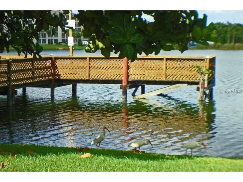 Dock next to clubhouse, pool & Florida ibis; familiar water birds... - 4133 HERON WAY #E-202, BRADENTON