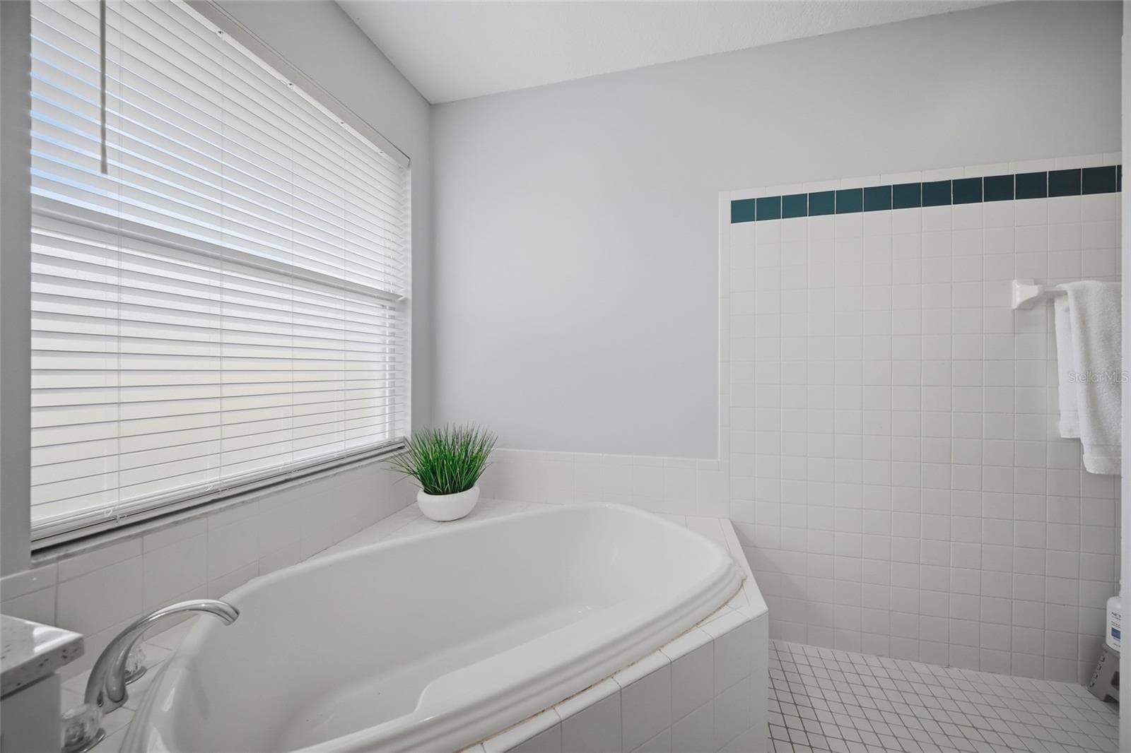 Single Family Residence at 3104 RIVER WOODS DR, PARRISH, photo 22 of 38