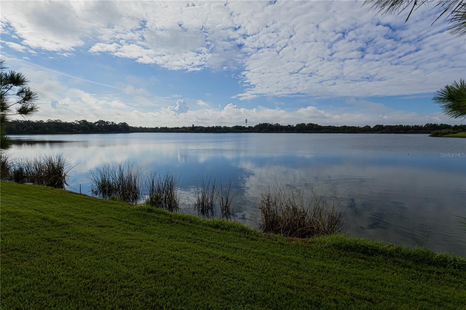 Single Family Residence at 4228 WINDCHIME LN, LAKELAND, photo 4 of 39