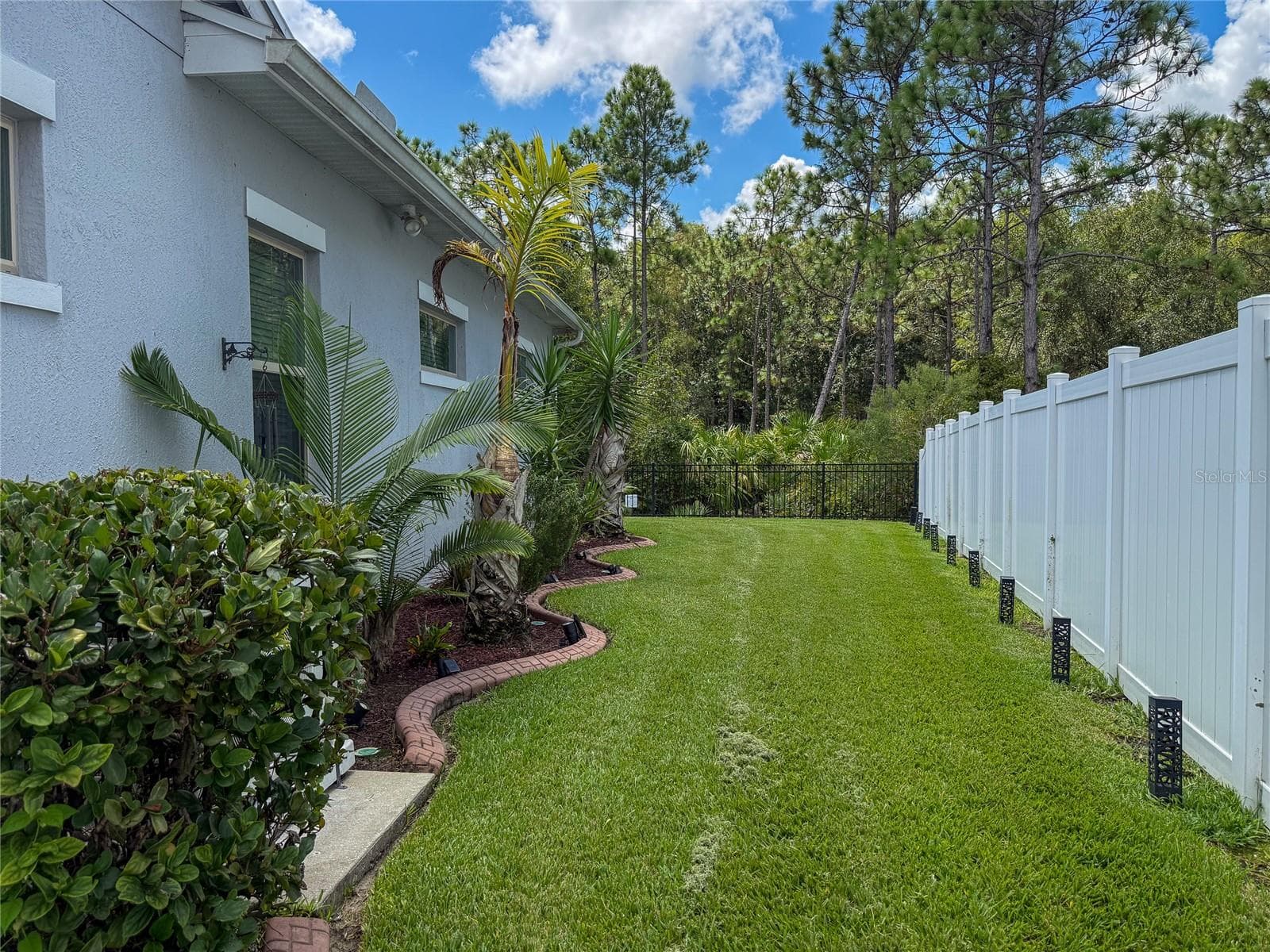 BACKYARD LEFT SIDE VIEW - 14150 ALAFAYA OAK BND, ORLANDO