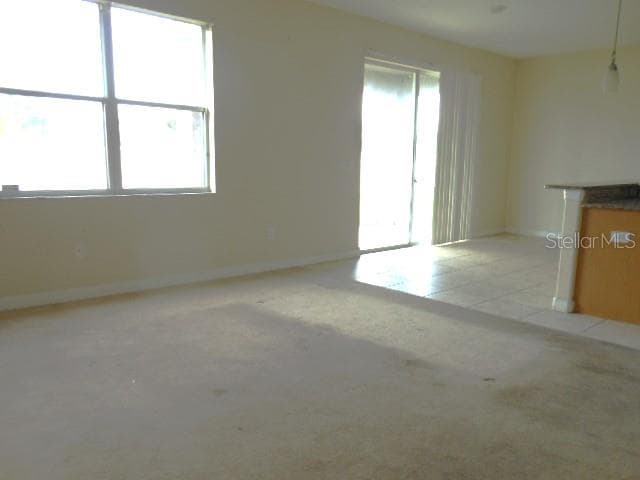 Single Family Residence at 10524 SHADY PRESERVE DR, RIVERVIEW, photo 8 of 27