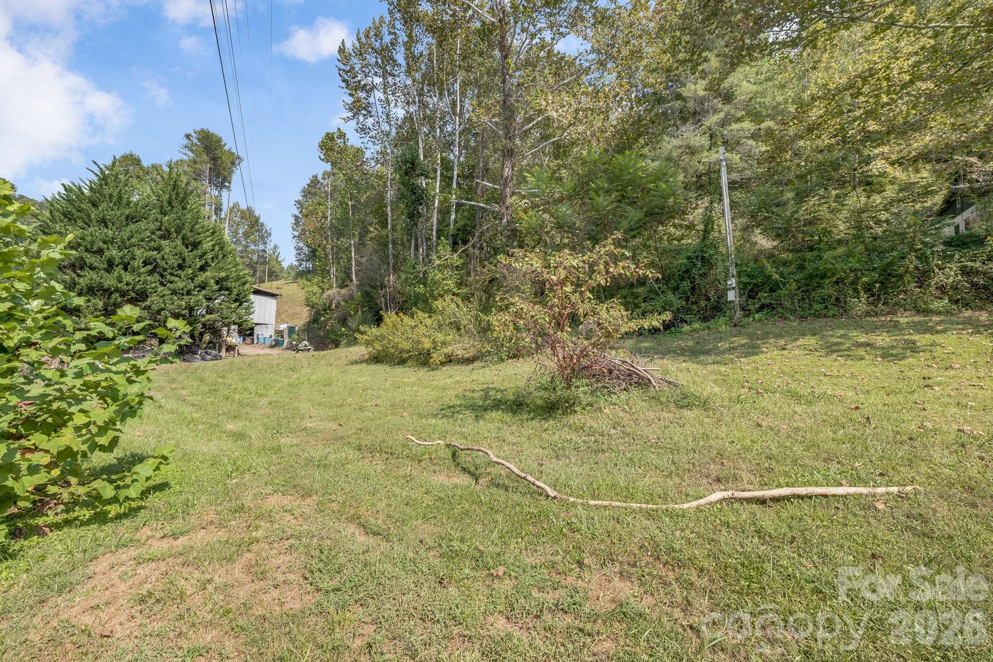Back yard - 4078 NC 208 Highway, Marshall