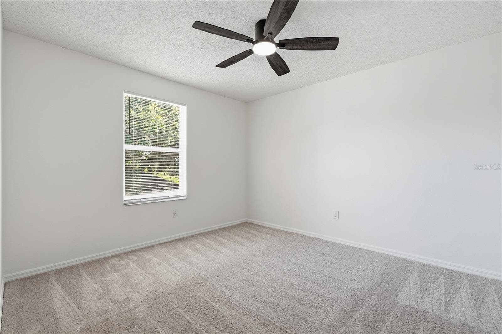 Single Family Residence at 22536 LAURELDALE DR, LUTZ, photo 24 of 43