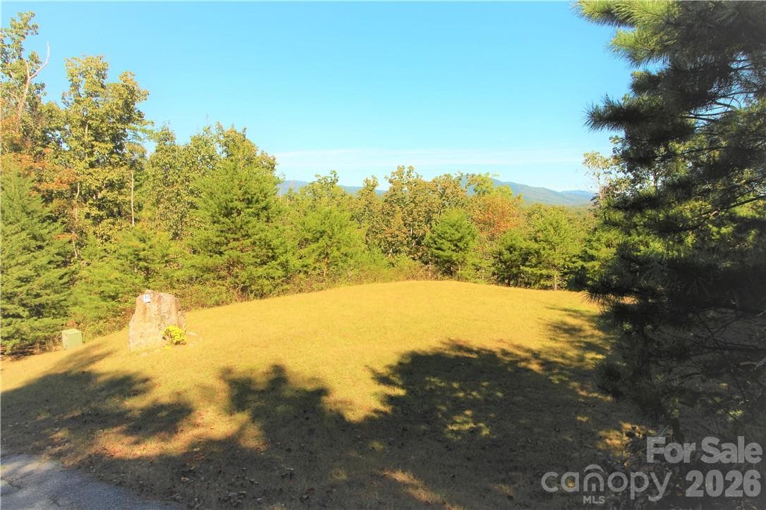 Lot at Lake Lure, photo 2 of 18