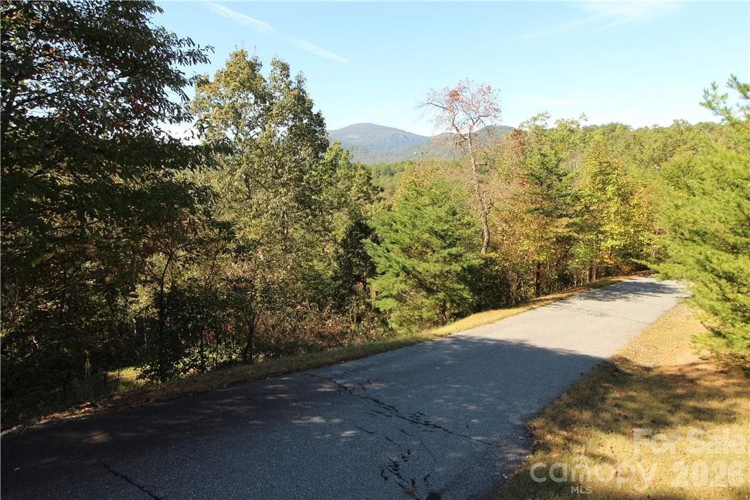 Lot at Lake Lure, photo 8 of 18