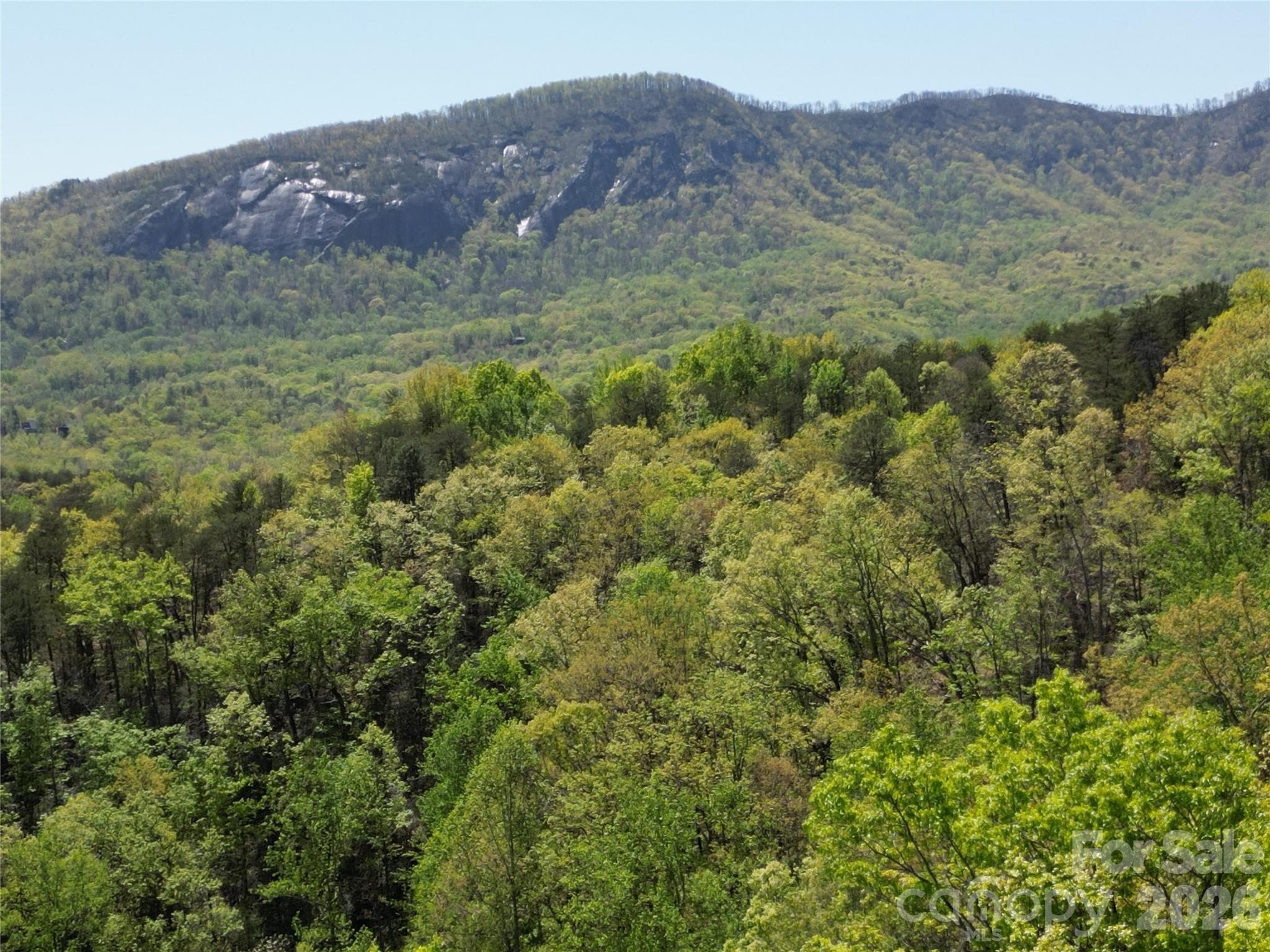 Lot at Lake Lure, photo 4 of 59