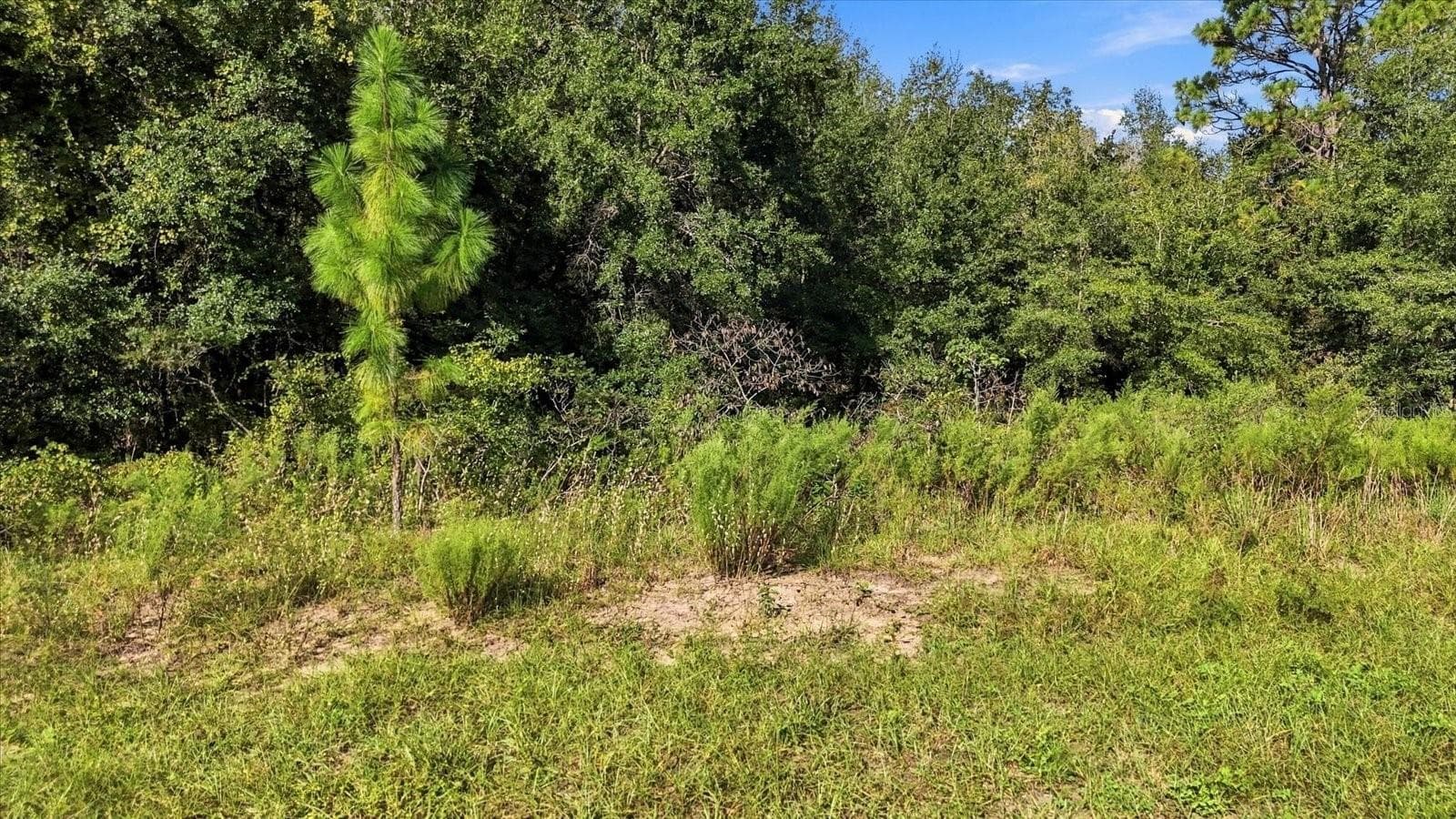 Land at 4324 N WIGWAM TER, BEVERLY HILLS, photo 4 of 14