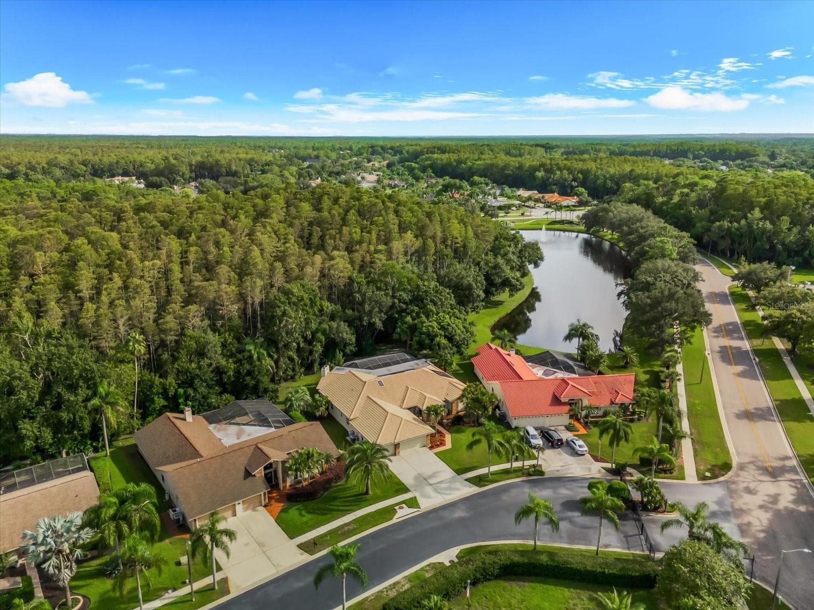 Single Family Residence at 3612 WINDBER BLVD, PALM HARBOR, photo 98 of 100