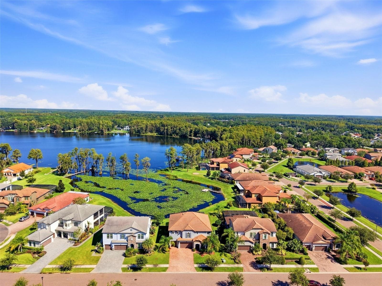 Single Family Residence at 5157 LAKECASTLE DR, TAMPA, photo 42 of 50