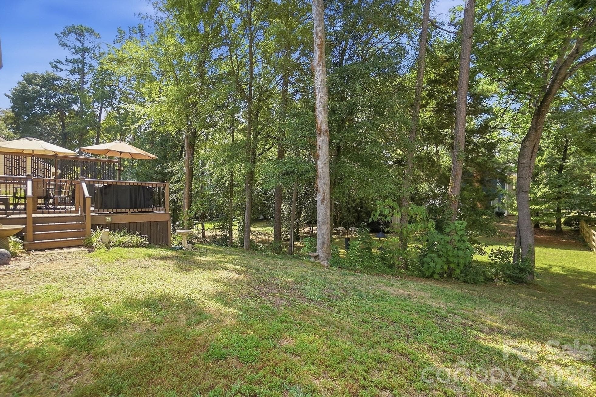 Large Backyard - 1629 Sugar Hollow Drive, Charlotte