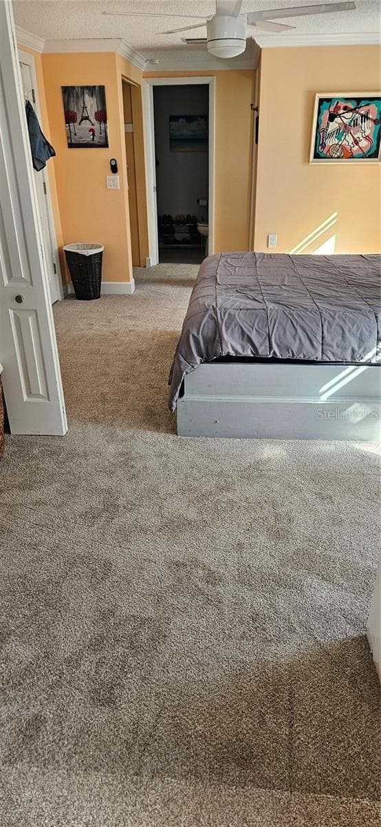 Single Family Residence at 1117 RUSHMORE DR, HOLIDAY, photo 16 of 29