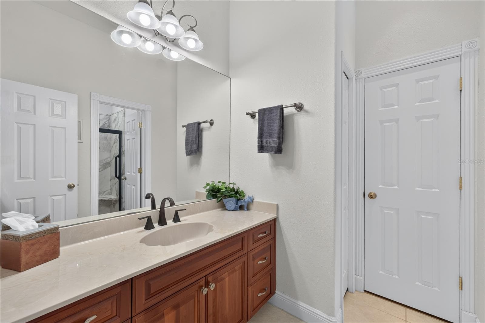 Single Family Residence at 21732 SHAMU DR, LAND O LAKES, photo 50 of 99
