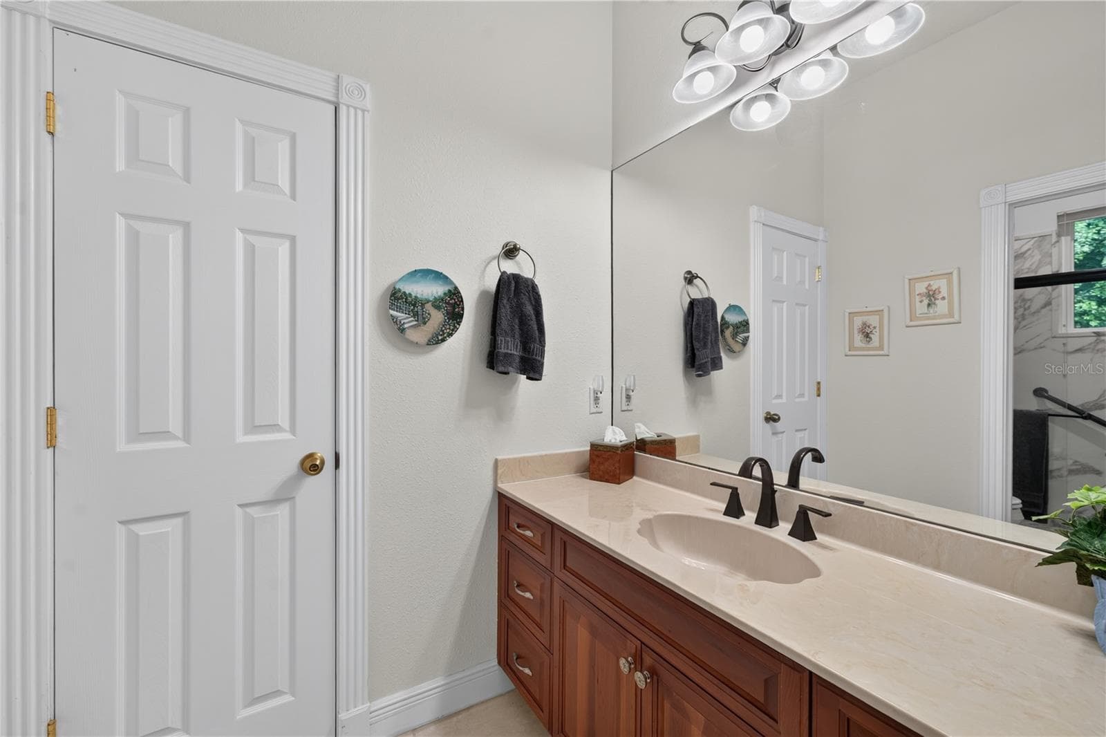 Single Family Residence at 21732 SHAMU DR, LAND O LAKES, photo 51 of 99