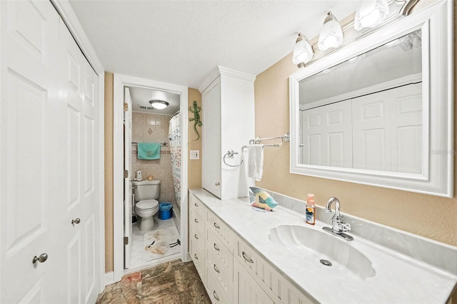 825 South Village Drive N #102, St Pete FL 33716 - 825 S VILLAGE DR N #102, ST PETERSBURG
