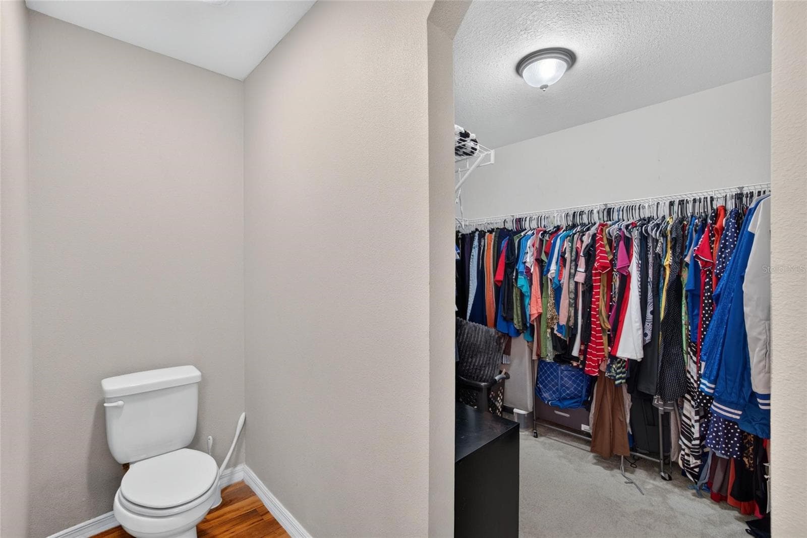 Single Family Residence at 14441 ALISTAR MANOR DR, WIMAUMA, photo 23 of 45