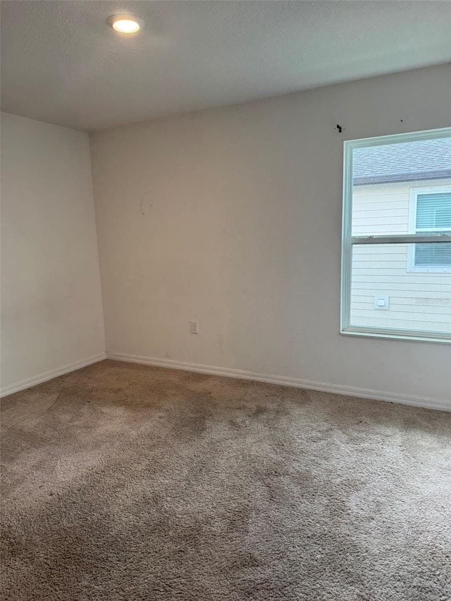 Primary Bedroom - 5421 COMPANION LN, TAMPA