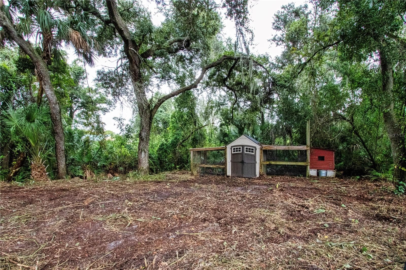 Real Chicken Coup - 2501 LIGHTFOOT RD, WIMAUMA