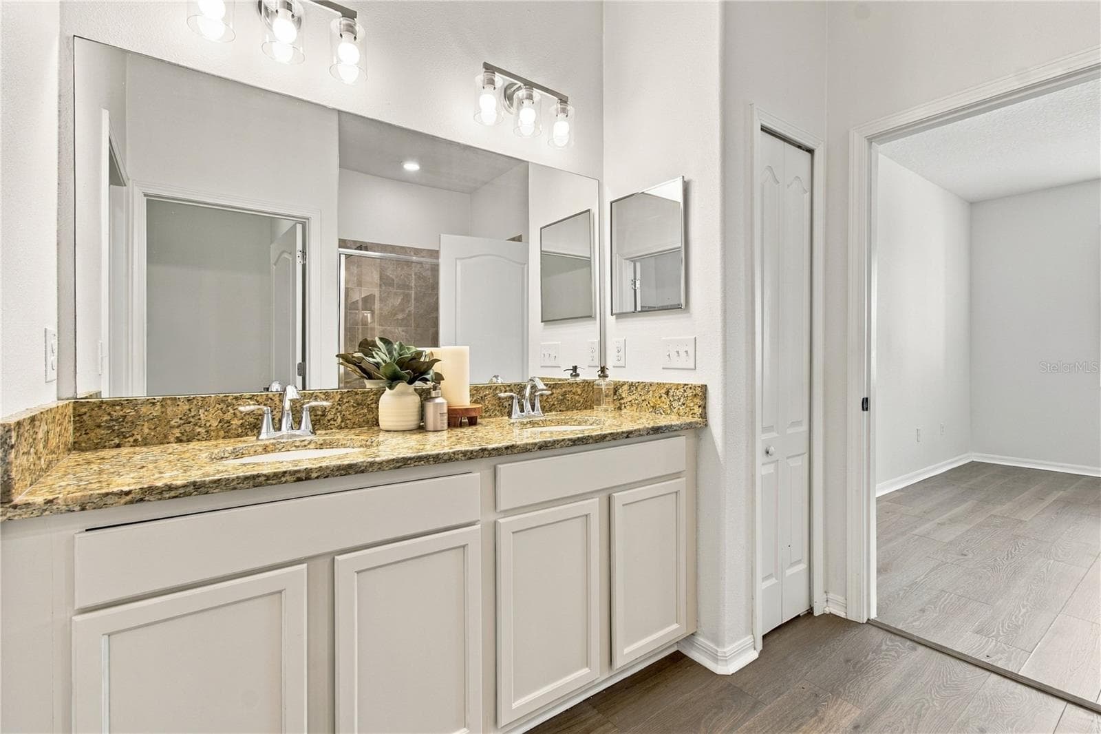 Primary Bedroom - 18928 HAMPSTEAD HEATH CT, LAND O LAKES