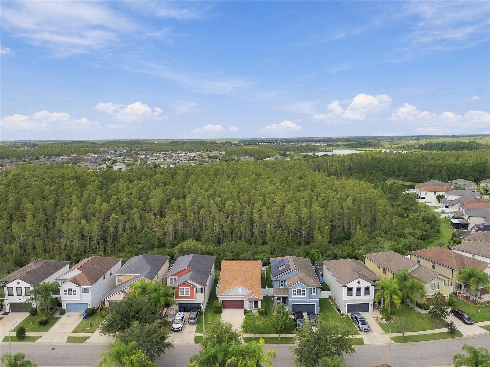 Single Family Residence at 18928 HAMPSTEAD HEATH CT, LAND O LAKES, photo 42 of 49