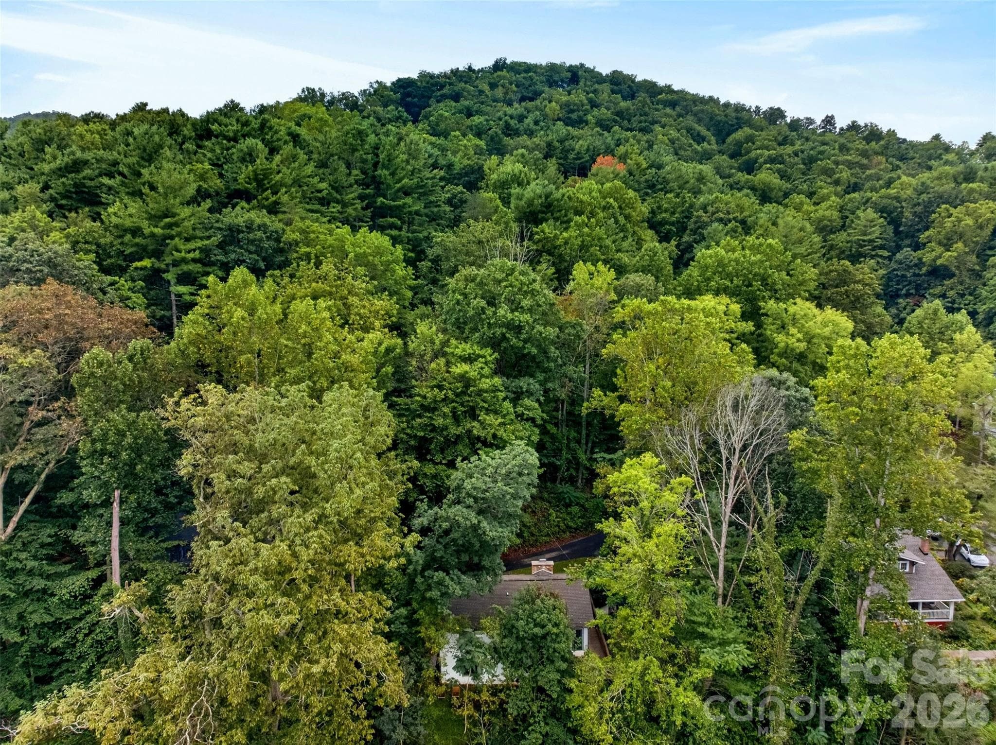 Mountain living yet close to Asheville amenities - 39 Spooks Branch Extension, Asheville