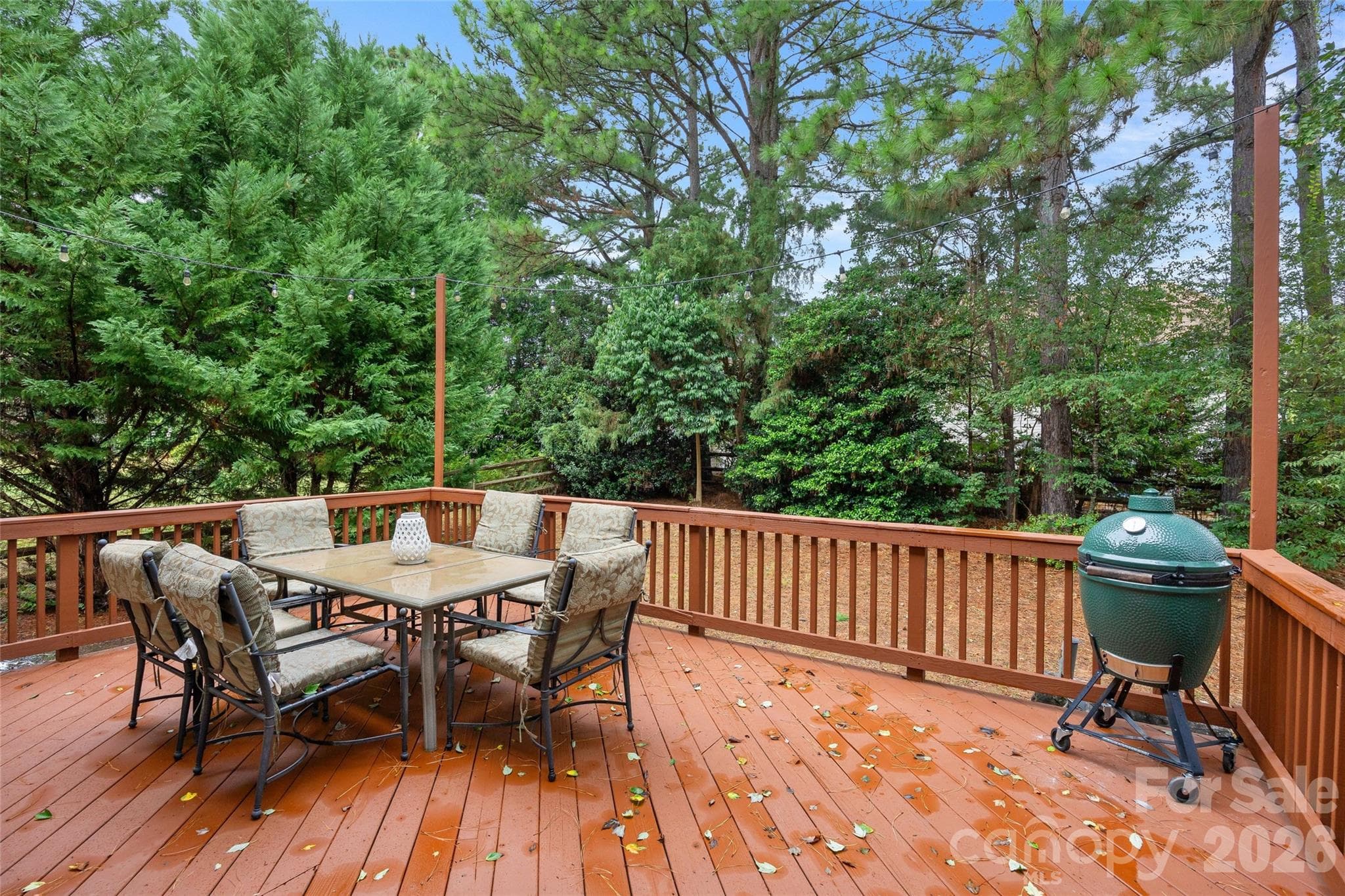 Massive back deck - 11424 Innes Court, Charlotte