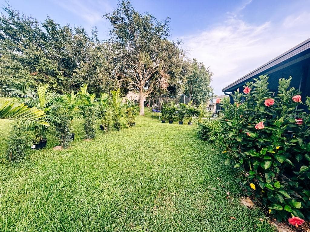 Single Family Residence at 4318 ENGLISH TURN WAY, WESLEY CHAPEL, photo 33 of 43