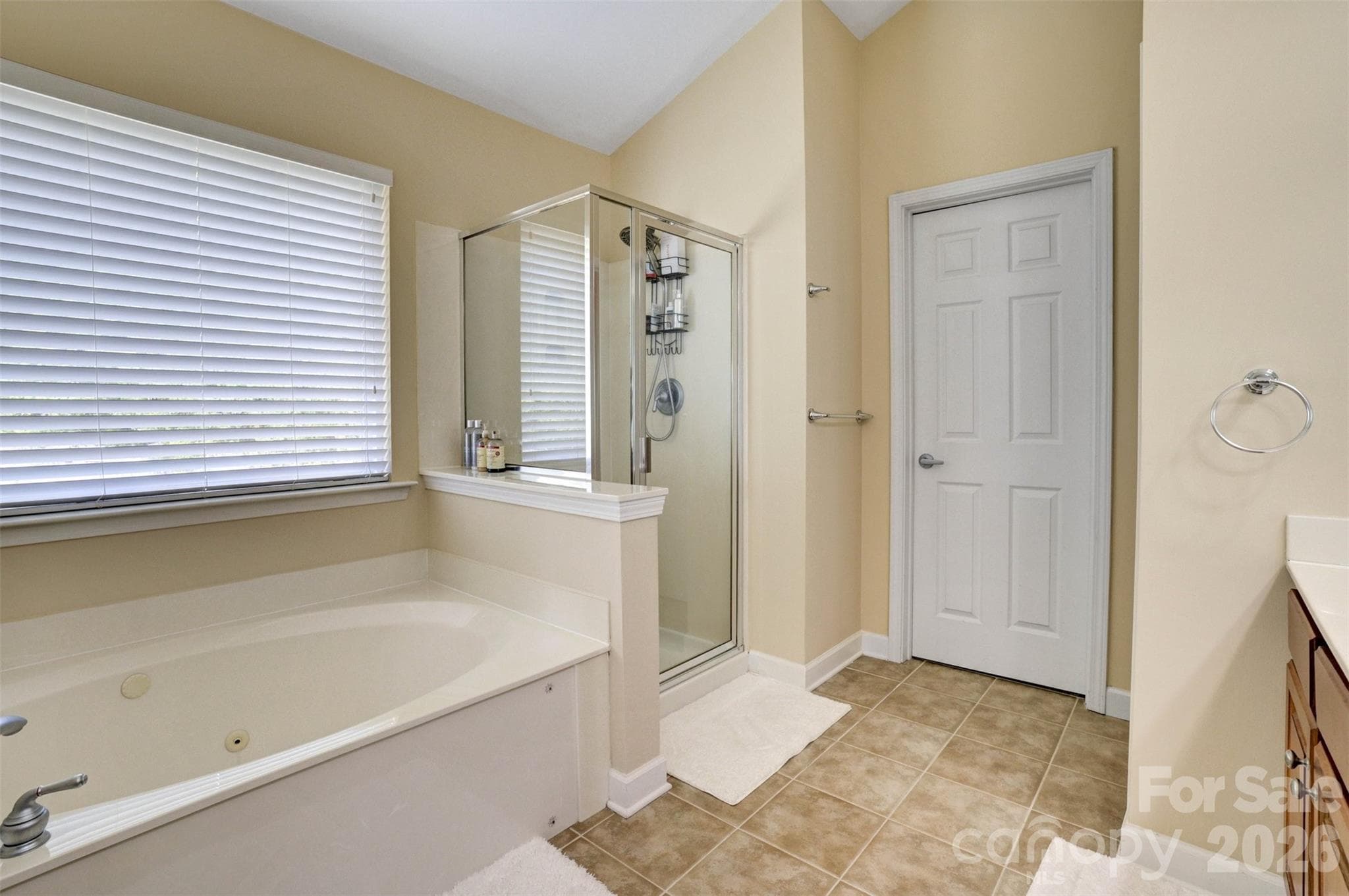 Single Family Residence at 12615 Coltart Court, Charlotte, photo 20 of 34