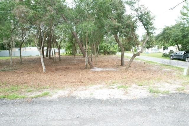 LUELLA AVE