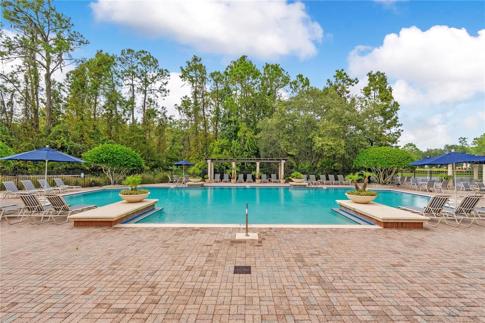 Community Pool - 14169 AVENUE OF THE GRVS, WINTER GARDEN
