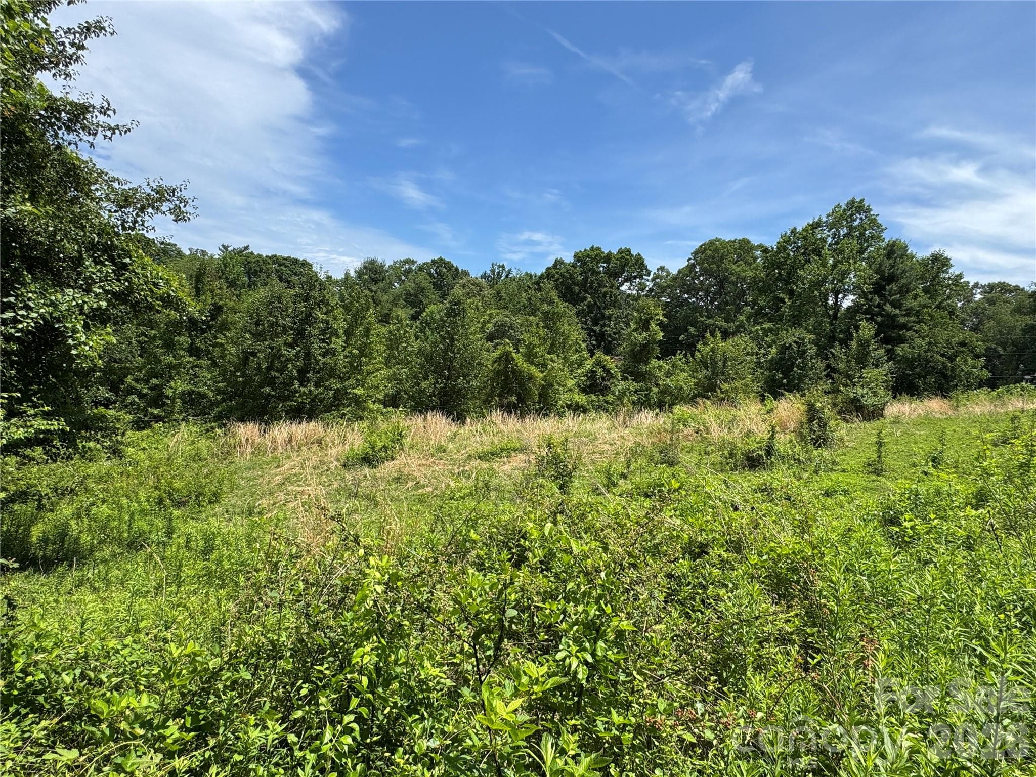 Lot at 99999 Duckett Road, Candler, photo 22 of 34