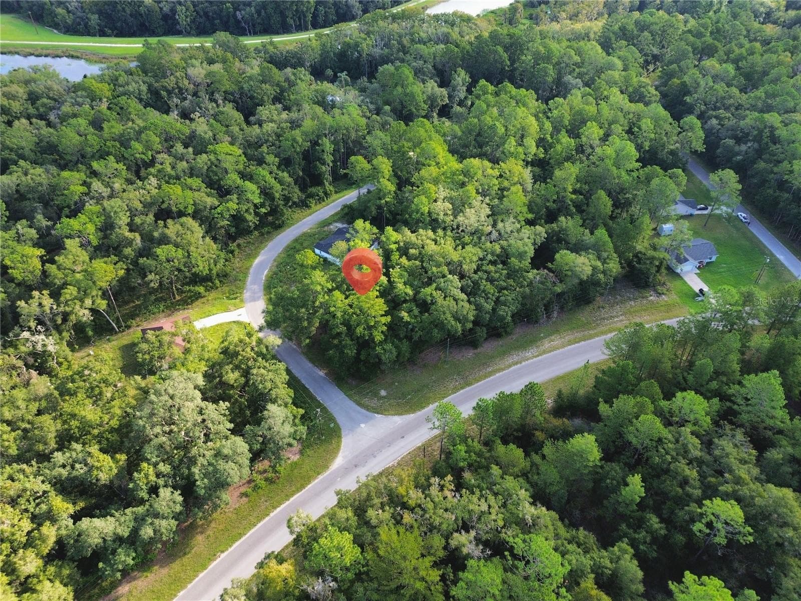 Land at TBD FISHER RD, OCKLAWAHA, photo 3 of 4