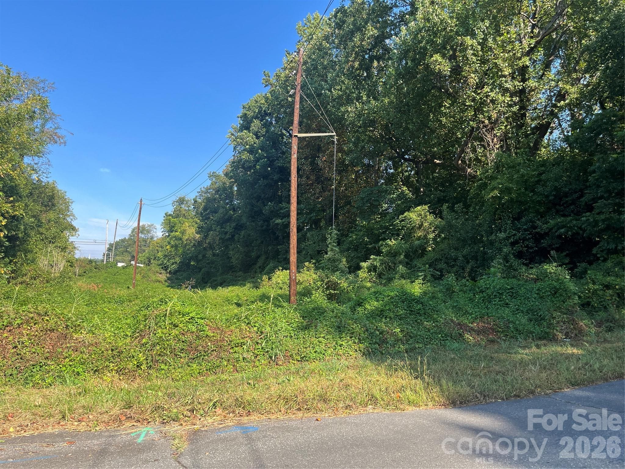None at 249, 250 E McDowell Street, Morganton, photo 3 of 6