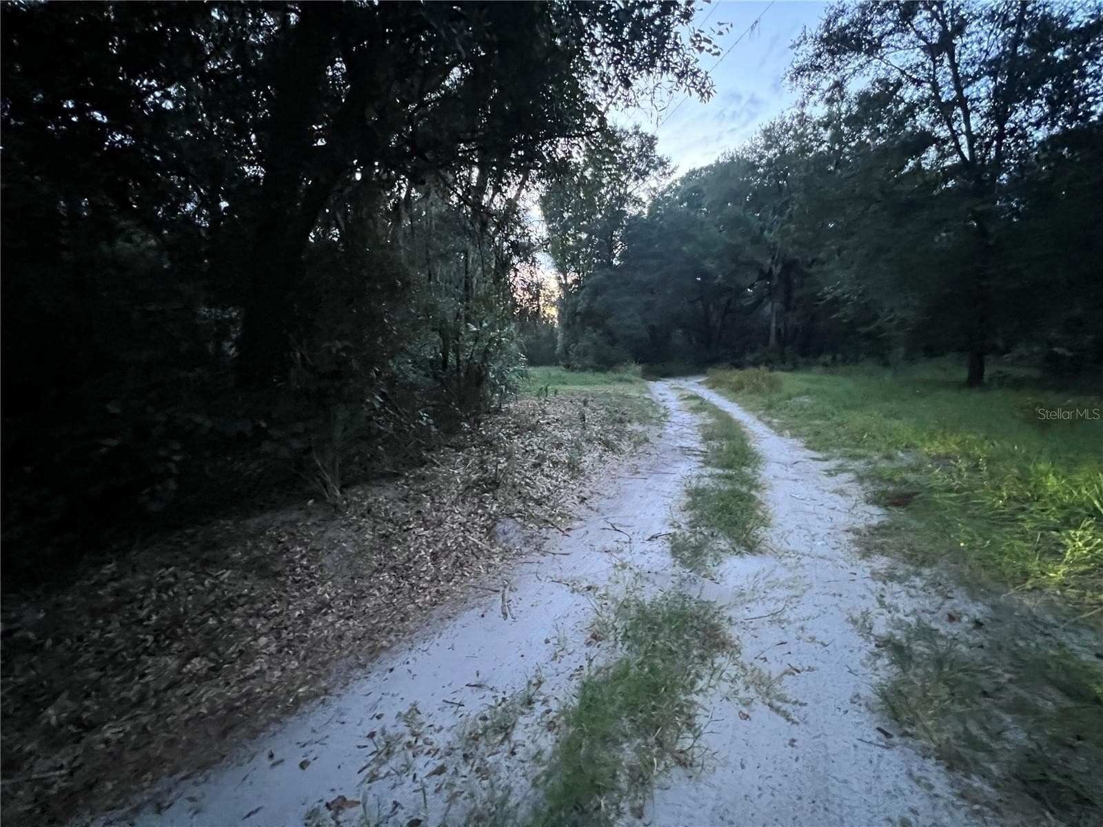 Land at 112 & 114 GROVE DR, CRESCENT CITY, photo 9 of 26