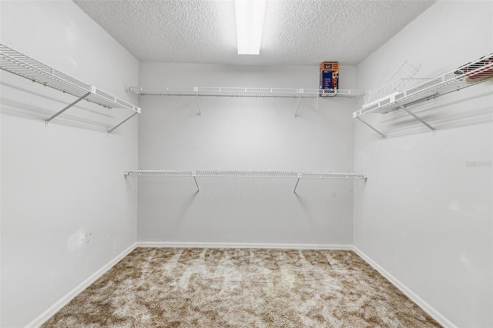 walk in closet - 1304 TREETOP DR, PALM HARBOR