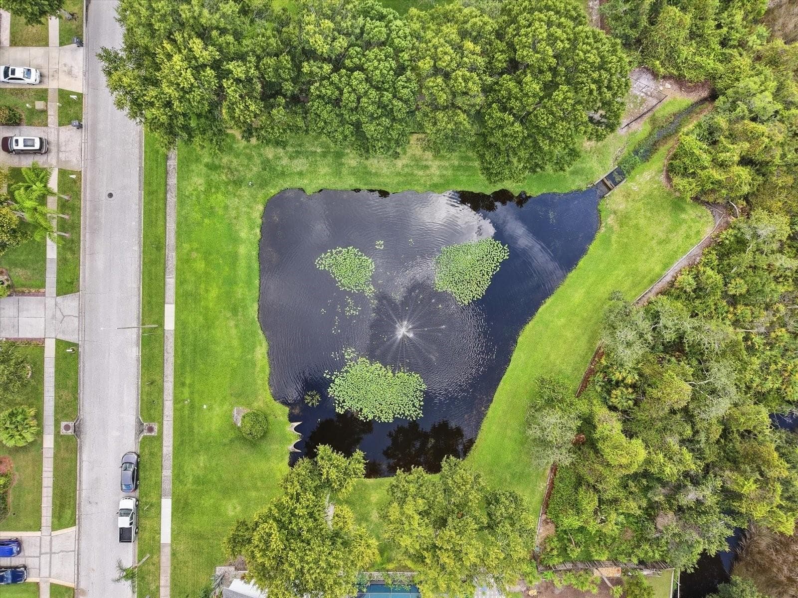 Single Family Residence at 10271 OASIS PALM DR, TAMPA, photo 12 of 35