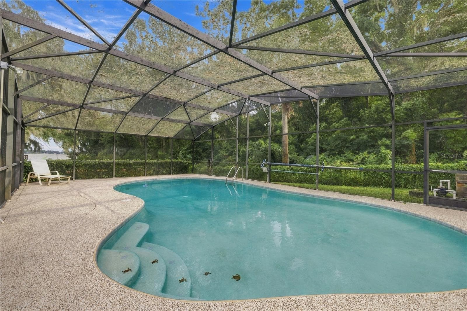 Screened Pool - 2314 N GRIFFIN DR, LEESBURG