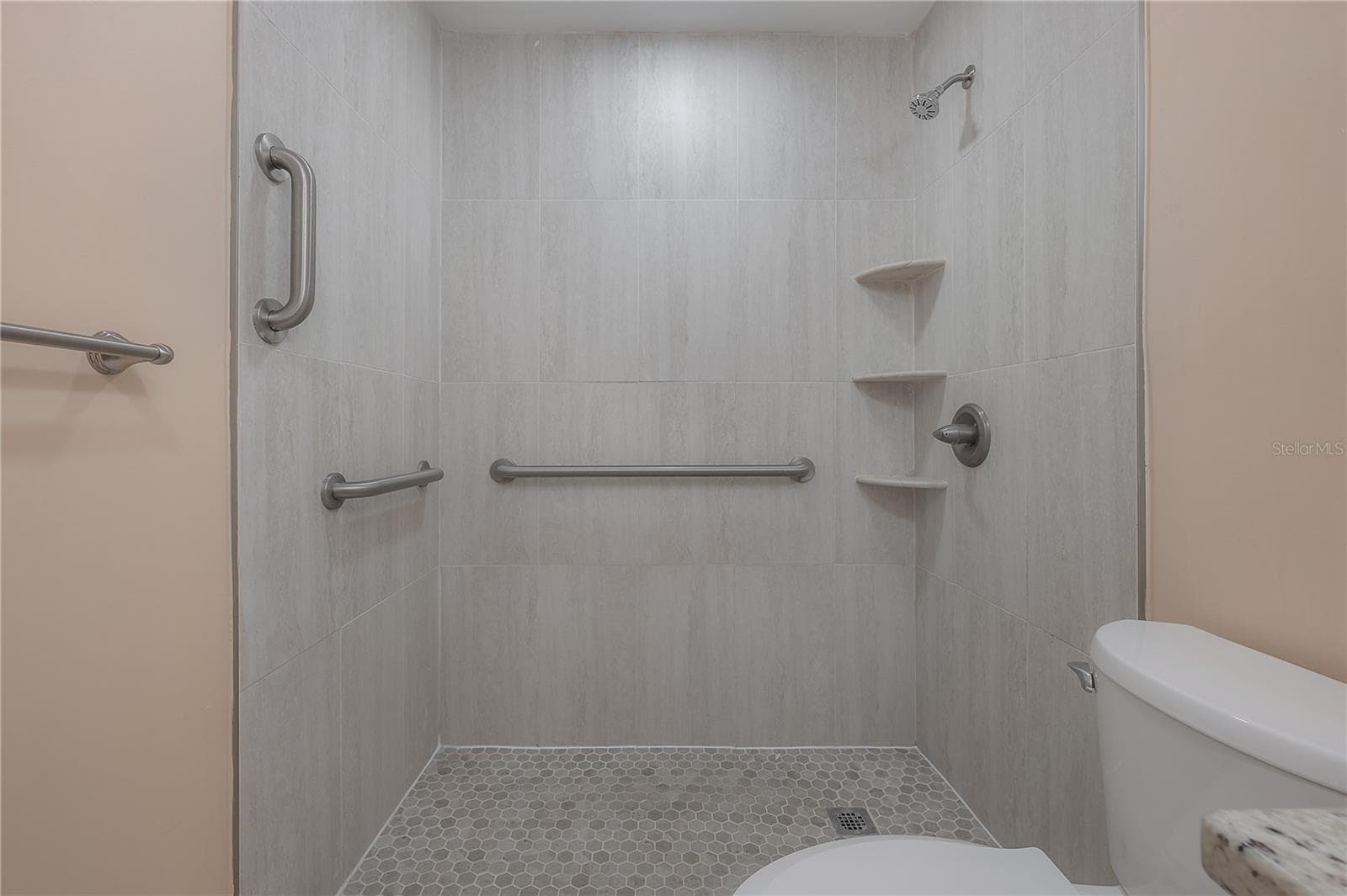 Walk in shower with grab bars - 8055 112TH ST #205, SEMINOLE