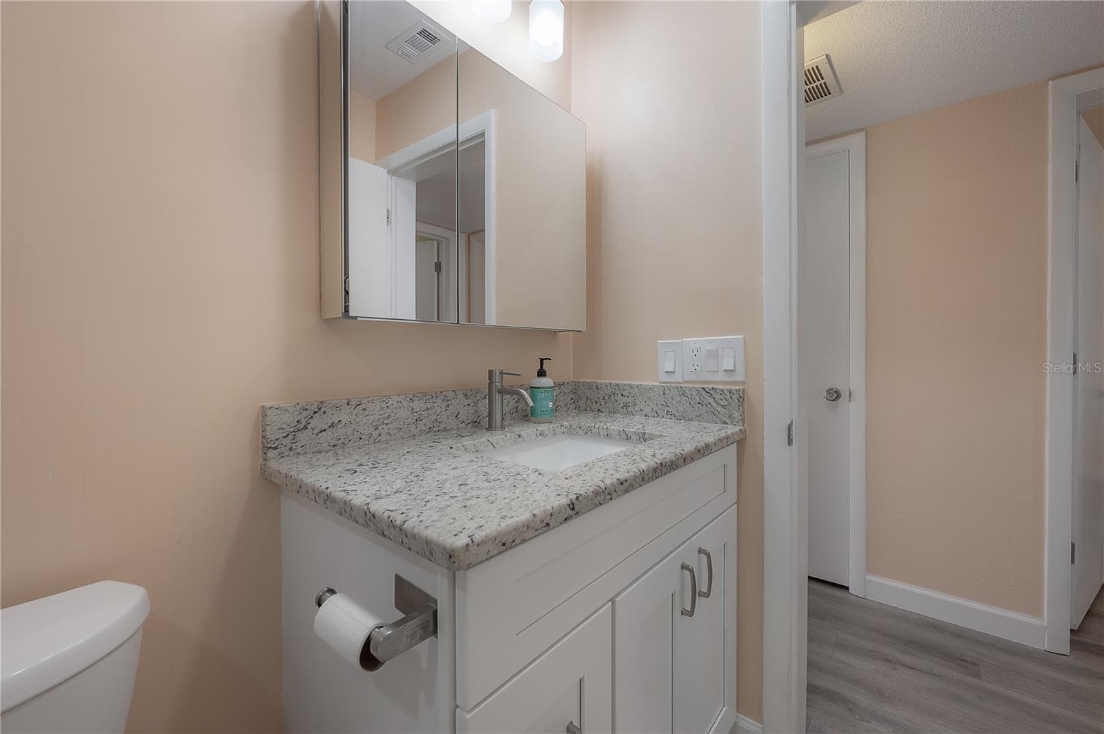 Bathroom vanity - 8055 112TH ST #205, SEMINOLE