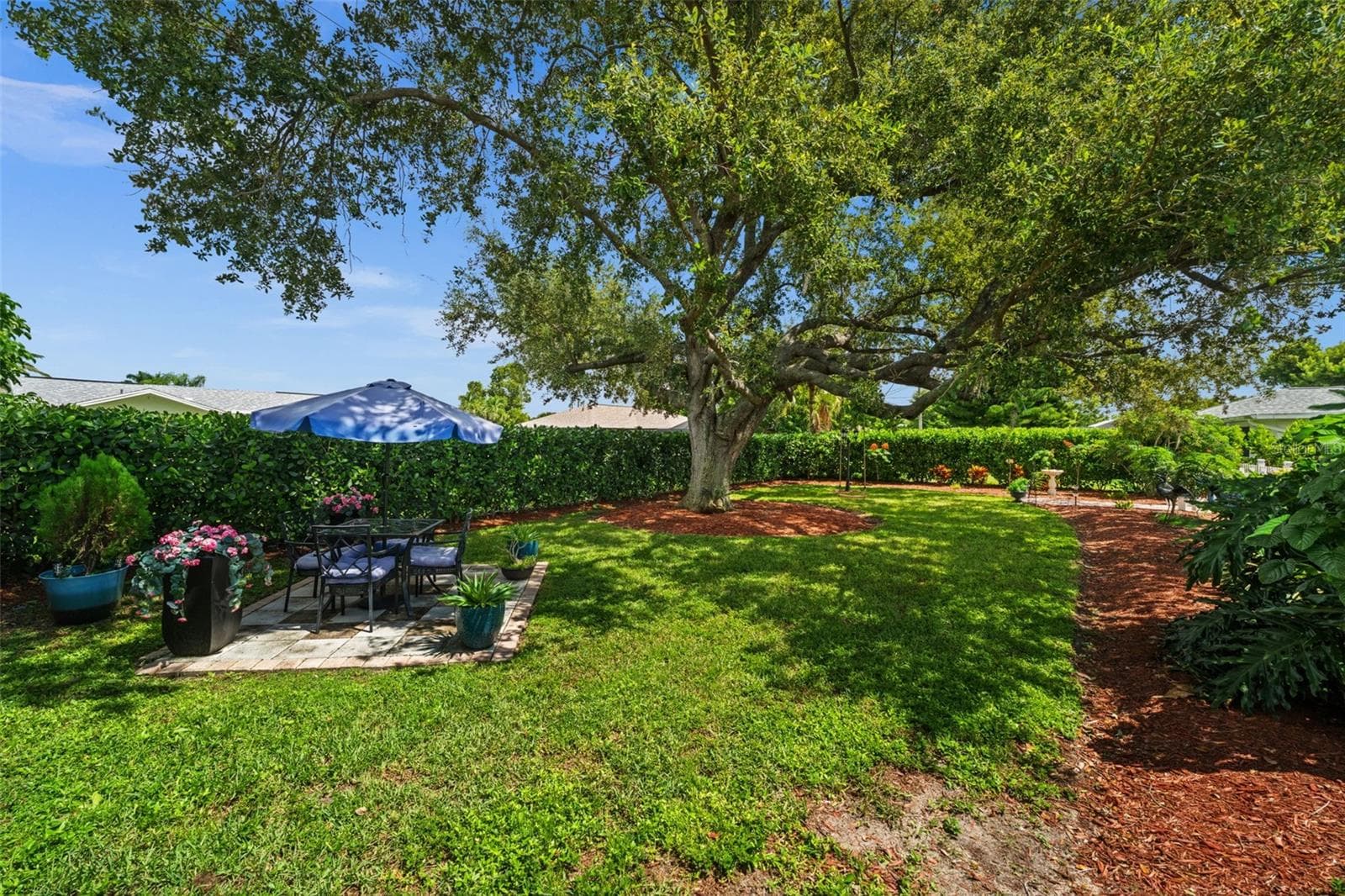 Serve tea or have a luncheon under the majestic Southern Oak tree - 427 SW 34TH ST, CAPE CORAL