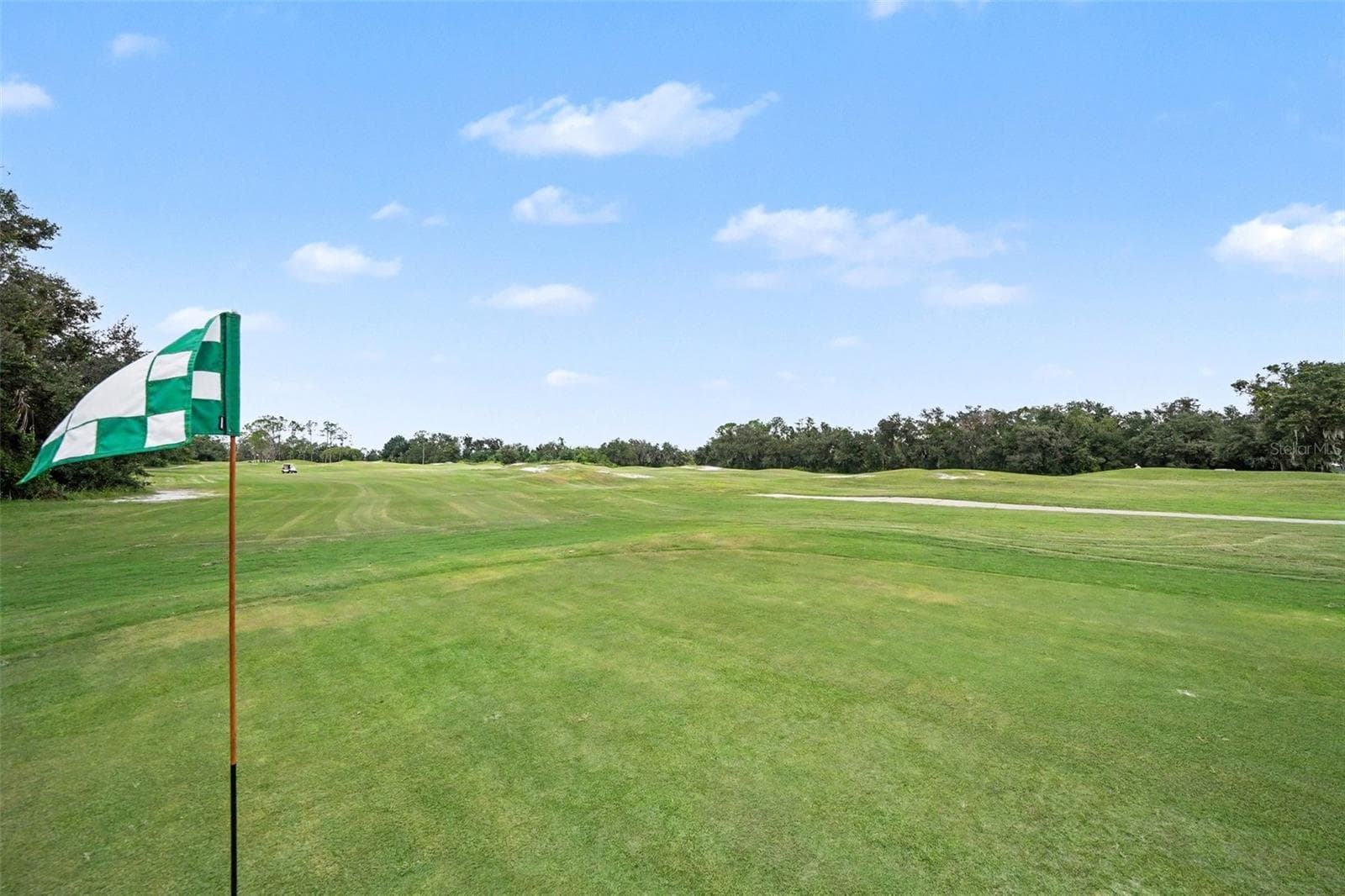Villa at 34825 DOUBLE EAGLE CT, ZEPHYRHILLS, photo 34 of 39