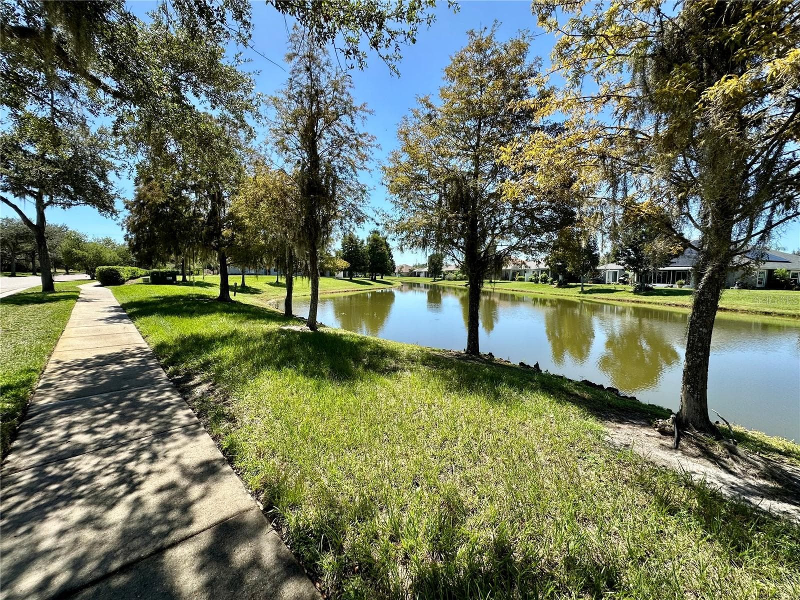 Beautiful neighborhood to walk in! - 4247 ANGELICA LOOP, WESLEY CHAPEL