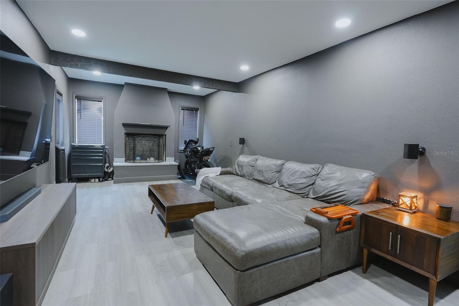 Family room - 16606 FOREST PARK DR, LUTZ