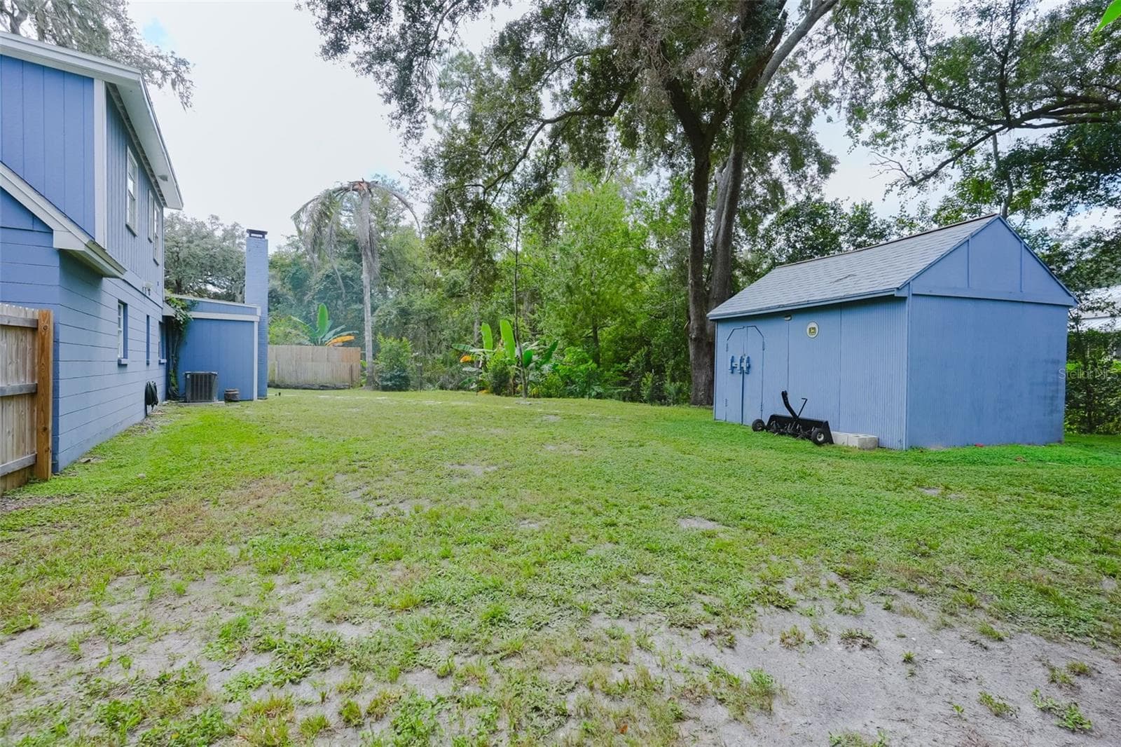 Backyard left - 16606 FOREST PARK DR, LUTZ