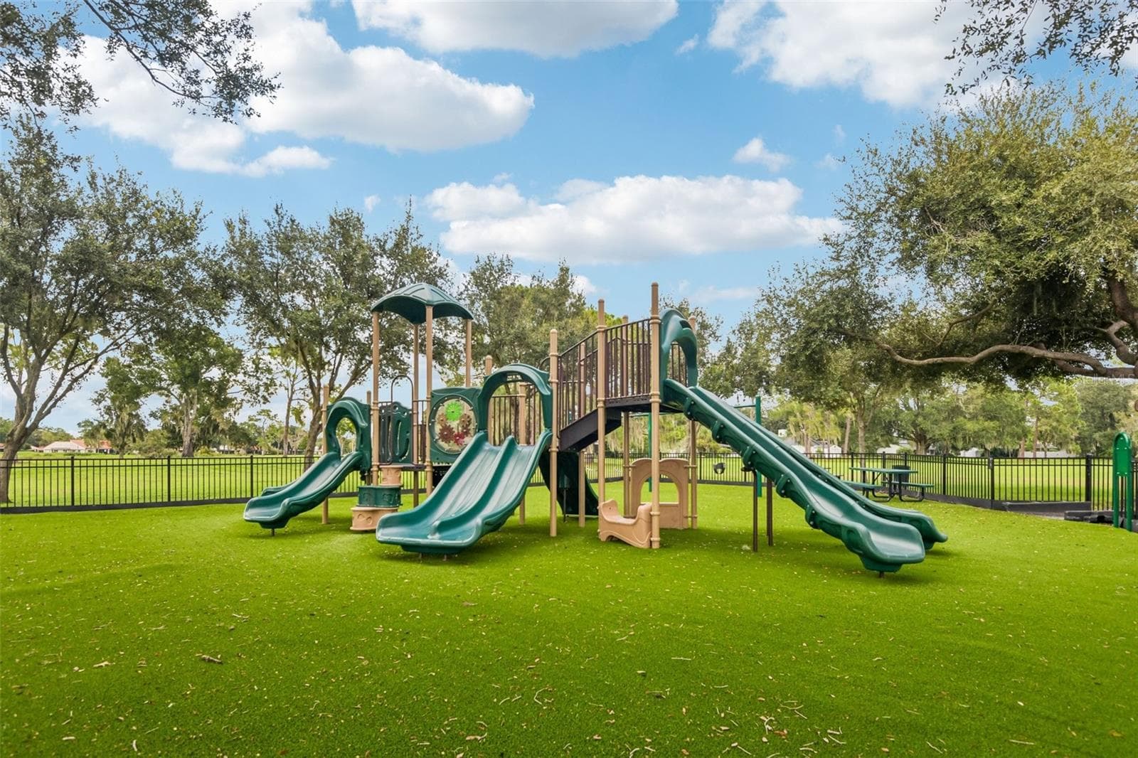 Community Amenities - Play Ground! - 3503 OAK CLUB CT, PLANT CITY